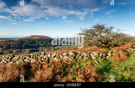 Vista autunnale del Parco Nazionale di Dartmoor nel Devon presi da giù Tor guardando verso Burrator e pecore Tor Foto Stock