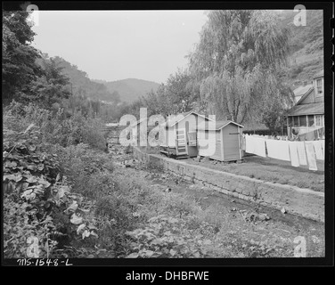 Back Yard mostra privies e case di carbone, avviso di manutenzione creek bank. Quasi tutte le case hanno bagni esterni... 540848 Foto Stock