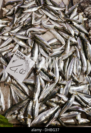 Sarde fresche in vendita presso i mercati di Rialto, Venezia, Italia. Foto Stock