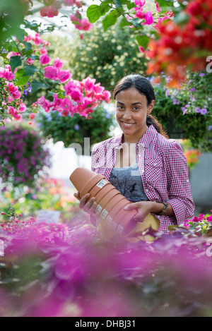 Una serra commerciale in un vivaio coltivazione fiori organici. Una donna che lavorano, portando vasi. Foto Stock