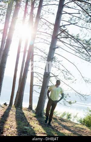 Lakeside. Un uomo in piedi all'ombra di alberi di pino in estate. Foto Stock