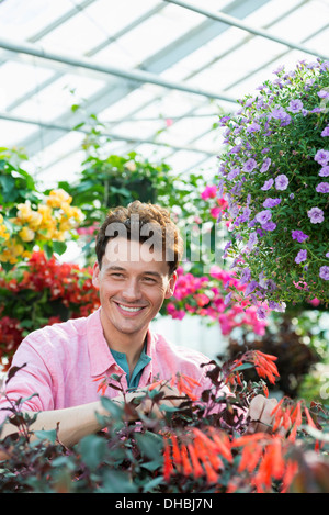 Una serra commerciale in un vivaio coltivazione fiori organici. Uomo al lavoro, controllo e tendendo i fiori. Foto Stock