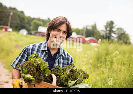 Un uomo che porta un cesto pieno di prodotti freschi raccolti gli ortaggi biologici, lavorando su di una azienda agricola biologica. Foto Stock