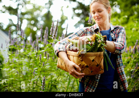 Una donna che porta un cesto pieno di prodotti freschi raccolti sulla pannocchia di mais e le verdure dal giardino. Foto Stock