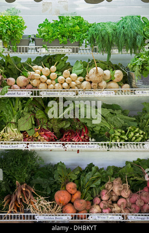 Una fattoria di stand con righe di appena raccolto ortaggi per la vendita. Foto Stock