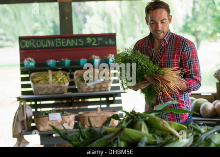 Una fattoria di stand con prodotti freschi ortaggi e frutta. Un uomo con mazzetti di carote. Foto Stock