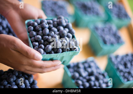 Frutta organica viene visualizzata su un piedistallo di fattoria. I mirtilli in punnets. Foto Stock