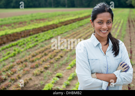 Una donna in piedi in un campo di fattoria, con insalata di piccole piante che crescono in righe. Foto Stock