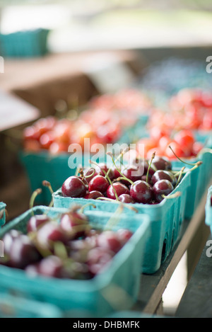 Punnets di organico fresco frutta morbida. Le ciliegie. Foto Stock