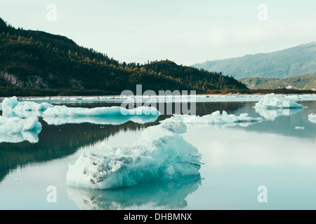 Iceberg floating off shore alla fine del ghiacciaio McBride, off Alaska. Foto Stock