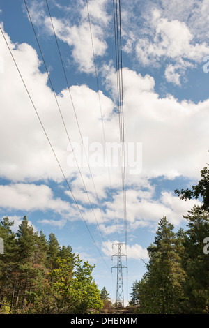 La natura in scena con pilone di alimentazione e i cavi elettrici in esecuzione attraverso boschi con cielo blu e nuvole in background Foto Stock