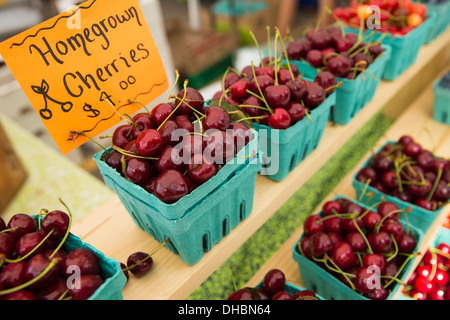 Farm stand con punnets di mirtilli e rapsberries per la vendita, fresco frutta organica. Foto Stock