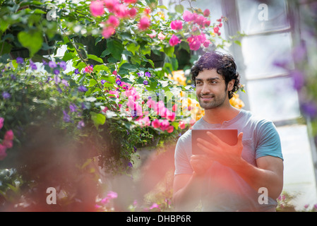 Un giovane uomo che lavora in un vivaio, circondato da piante in fiore. Foto Stock