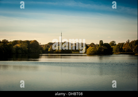 'Arqiva Tower' comunemente conosciuta come Emley Moor albero visto dallo Yorkshire Sculpture Park, con Lower Bretton Lake in primo piano. REGNO UNITO. Foto Stock