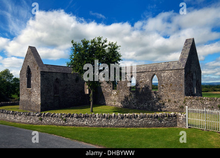 Le rovine di Aghaboe abbazia fondata da St Canice nel sesto secolo, nella contea di Laois, Irlanda Foto Stock