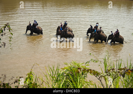 Vista orizzontale di un locale Lao mahouts con i turisti su elefanti a piedi lungo un fiume in Laos. Foto Stock