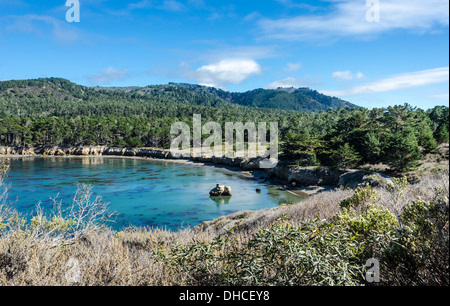 Il Whaler's Cove al punto Lobos Riserva Naturale Statale. La contea di Monterey, California, Stati Uniti. Foto Stock