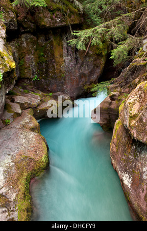 Avalanche Creek germogli attraverso le pareti strette di valanga di gola nel Parco Nazionale di Glacier, Montana. Foto Stock