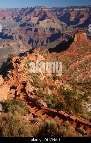 Gli escursionisti sulla South Kaibab Trail, il Parco Nazionale del Grand Canyon, Arizona. Foto Stock