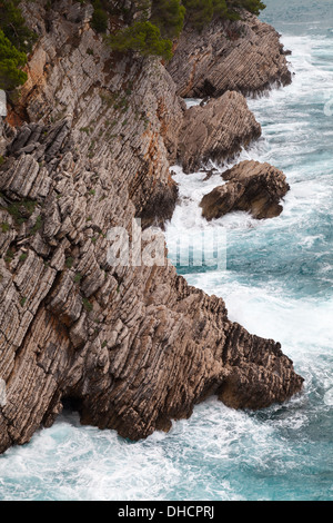 Rocce costiere con piccoli alberi di pino che cresce su di esso. Mare Adriatico, Montenegro Foto Stock