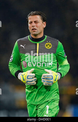 Dortmund, Germania. Il 6 novembre 2013. UEFA Champions League , Giornata 4 , Borussia Dortmund - Arsenal FC 0-1 Signal Iduna Park di Dortmund nel novembre , 06, 2013 Il Portiere Roman WEIDENFELLER (BVB) Foto : Norbert Schmidt/Alamy Live News Foto Stock