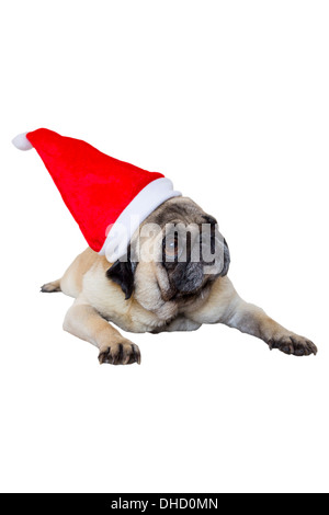 Triste Pug Beige con cappello a Natale Foto Stock