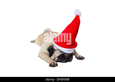 Triste Pug Beige con cappello a Natale Foto Stock