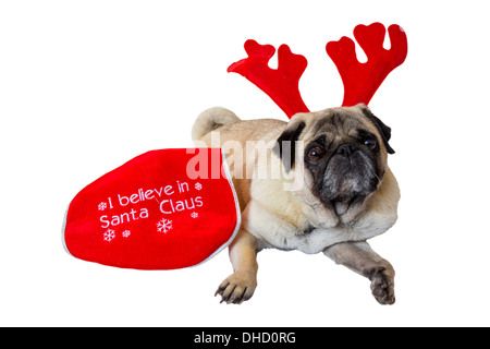 Il beige Pug indossando il natale renne orecchie accanto a un Bib Foto Stock