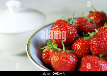 Le fragole in un recipiente accanto a un bianco ciotola con un coperchio Foto Stock