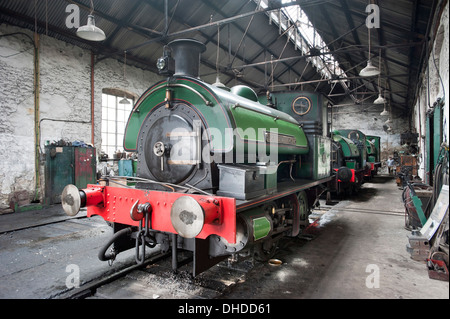 Tre ex Coal Board Saddletank locomotive a vapore in Marley Hill capannone motore a Tanfield Railway, County Durham Foto Stock