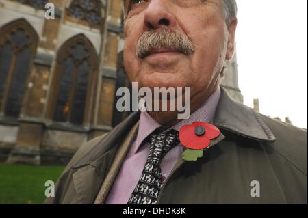 Londra, Regno Unito. 7 Nov, 2013. Veterani e turisti che indossa il rosso papavero legione si affacciano sul campo del ricordo presso l Abbazia di Westminster sul giorno di papavero. Credito: Gail Orenstein/ZUMAPRESS.com/Alamy Live News Foto Stock