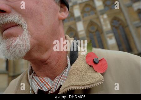 Londra, Regno Unito. 7 Nov, 2013. Veterani e turisti che indossa il rosso papavero legione si affacciano sul campo del ricordo presso l Abbazia di Westminster sul giorno di papavero. Credito: Gail Orenstein/ZUMAPRESS.com/Alamy Live News Foto Stock