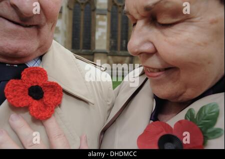Londra, Regno Unito. 7 Nov, 2013. Veterani e turisti che indossa il rosso papavero legione si affacciano sul campo del ricordo presso l Abbazia di Westminster sul giorno di papavero. Credito: Gail Orenstein/ZUMAPRESS.com/Alamy Live News Foto Stock