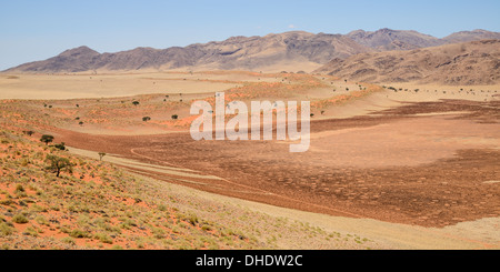 Un ampio tratto di bruciato fata cerchi in NamibRand, Namib Desert, Namibia, Africa Foto Stock