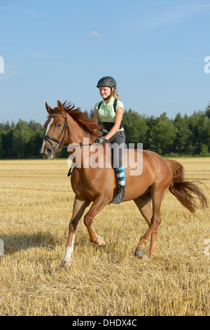 Tredici-anno-vecchia ragazza che indossa un casco e un paraschiena bareback su un Irish Sport Pony cavallo al galoppo in un campo di stoppie Foto Stock