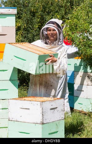 Ritratto di apicoltore funzionante a Apiario Foto Stock