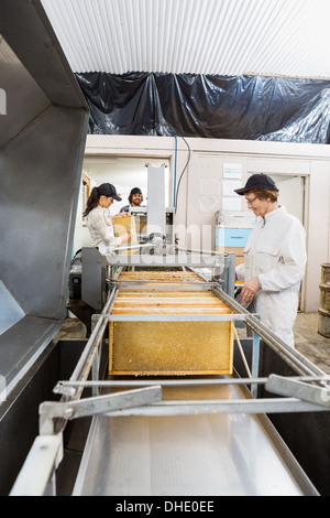 Apicoltore femmina lavorando sul miele impianto di estrazione Foto Stock