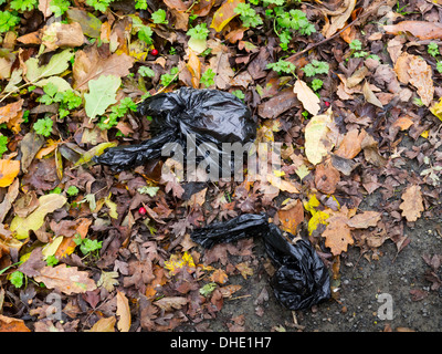 Il nero dei sacchetti di plastica contenenti feci di cane su un sentiero di bosco non collocati nel contenitore fornito Foto Stock