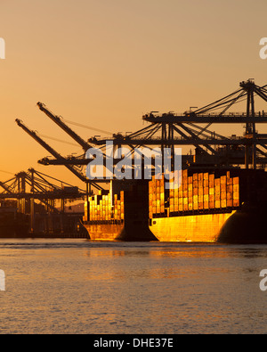 Le navi portacontainer ormeggiata al porto - Oakland, California USA Foto Stock