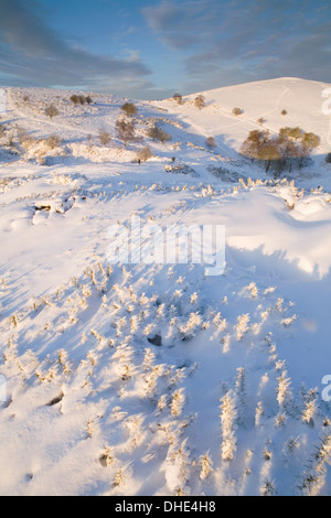 Coperta di neve gorse su Sugarloaf Hill, Malvern Hills, con tavolo Hill e North Hill nella distanza essendo accesa fino al tramonto. Foto Stock