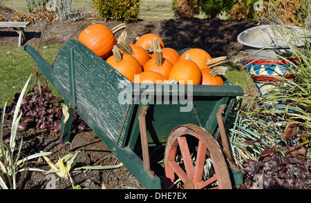 Autunno del New England scena della vecchia carriola in legno riempita con zucche arancione in giardino. Stati Uniti d'America Foto Stock