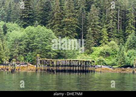 Resti del molo vecchio e la caldaia, Butedale, Princess Royal Island, mid-coast British Columbia, Canada Foto Stock