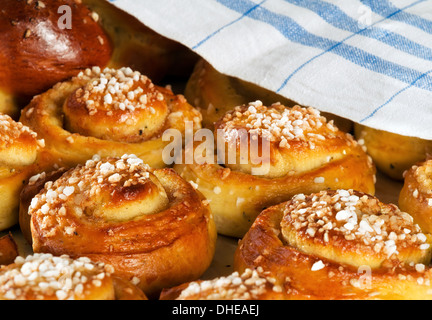 Appena sfornato ciambelle dolci o panini, coperto con biancheria da cucina Foto Stock