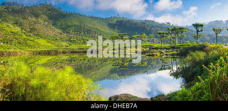 Lago a Haputale, Nuwara Eliya distretto, Sri Lanka Hill Country, Sri Lanka, Asia Foto Stock