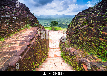 Rovine presso la sommità della Roccia di Sigiriya Fortezza (Lion Rock), il Sito Patrimonio Mondiale dell'UNESCO, Sri Lanka, Asia Foto Stock