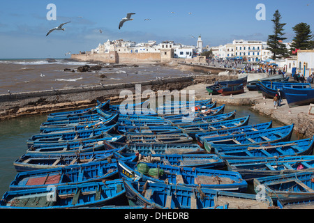 Vista sul porto di pesca ai bastioni e medina, Essaouira Costa Atlantica, Marocco, Africa Settentrionale, Africa Foto Stock