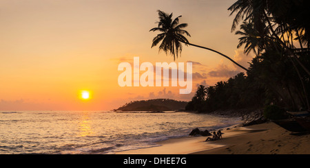 Palm tree al tramonto tropicale sulla spiaggia Mirissa, costa meridionale dello Sri Lanka, a sud della provincia, Sri Lanka, Asia