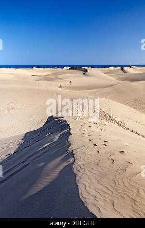 Le dune di sabbia, Maspalomas, Gran Canaria Isole Canarie Spagna, Atlantico, Europa Foto Stock