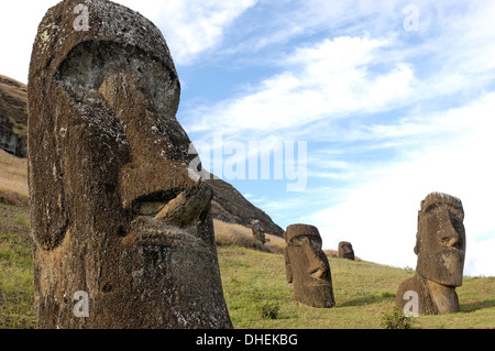 Moai in Rano Raraku cratere vulcanico formato consolidato di cenere (TUF), l'isola di pasqua, Sito Patrimonio Mondiale dell'UNESCO, Cile Foto Stock