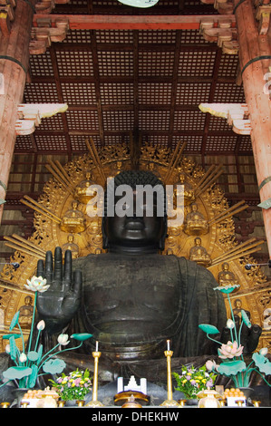 Todaiji Big Buddha tempio costruito nel VIII secolo, UNESCO, Nara City, Prefettura di Nara, isola di Honshu, Giappone Foto Stock